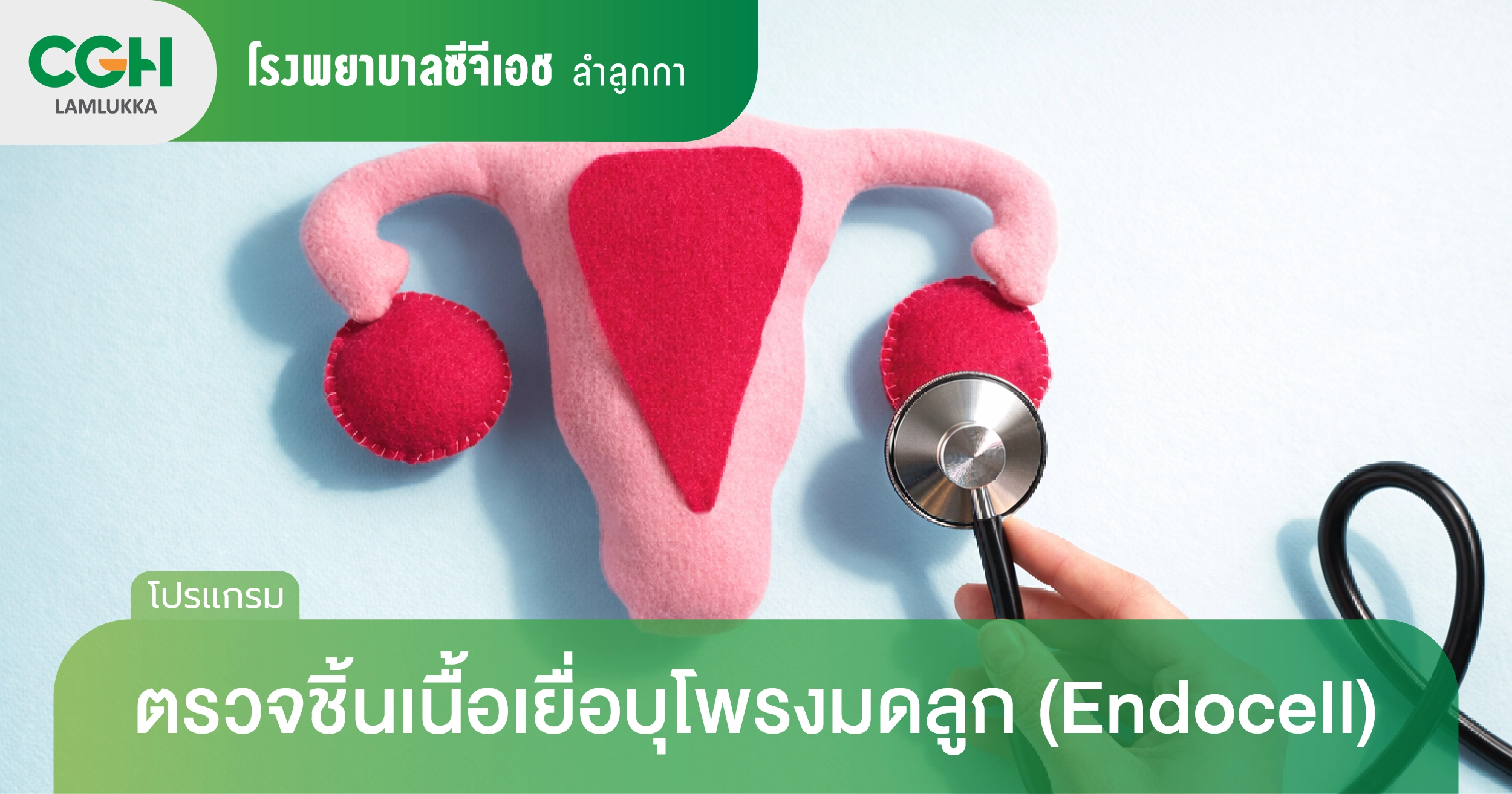 ตรวจชิ้นเนื้อเยื่อบุโพรงมดลูก