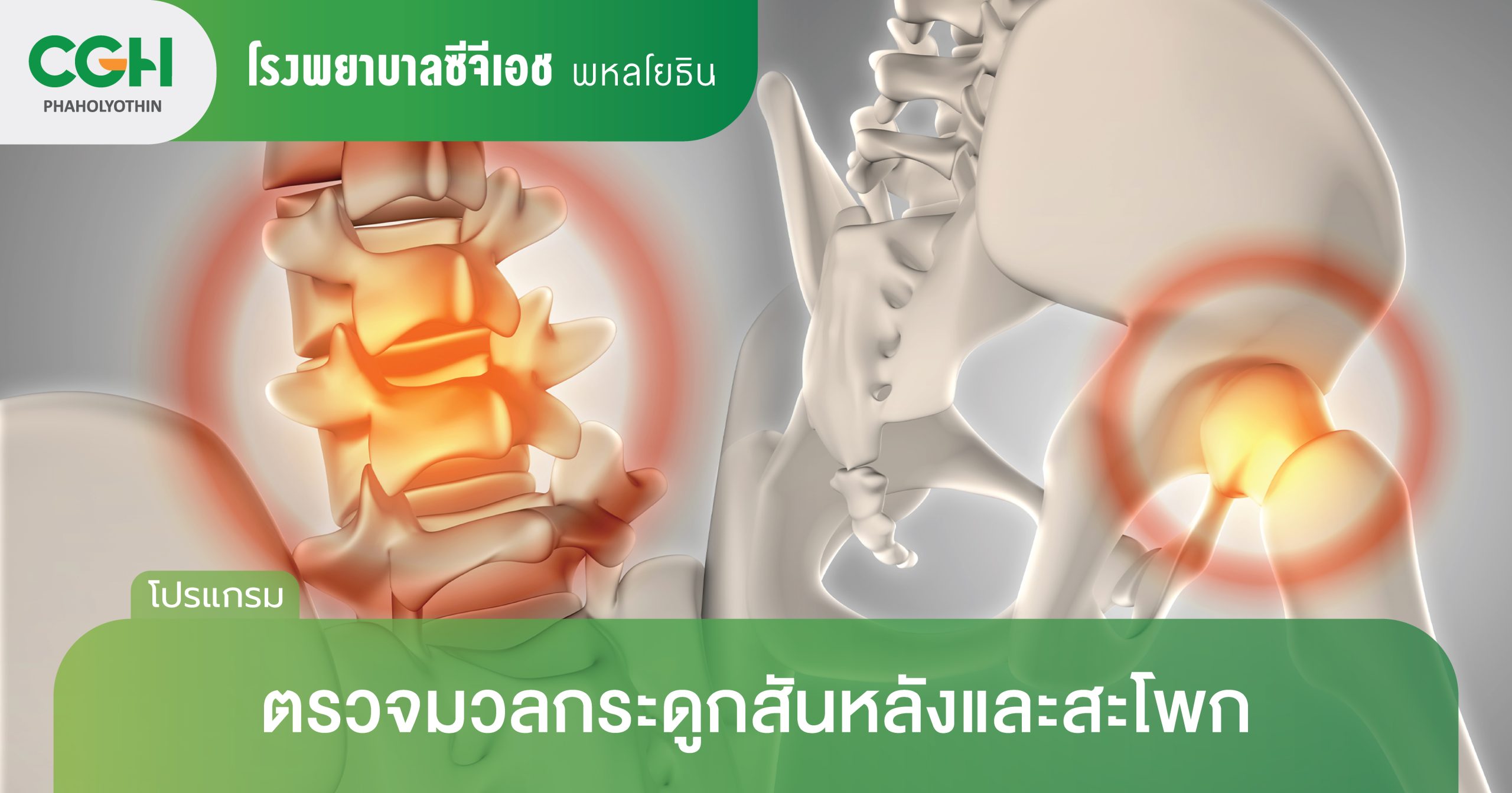 ตรวจมวลกระดูกสันหลังและสะโพก (Bone Mineral Density : BMD)